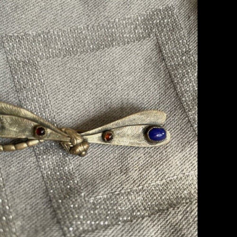 Original Art Nouveau dragonfly brooch, rare estate piece, bronze